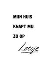 Mijn-huis-knapt-mij-zo-op loesje
